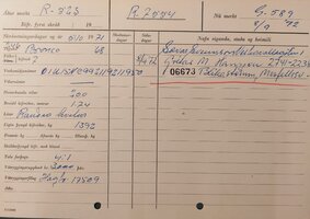 G589  - 3 992119211950.jpg