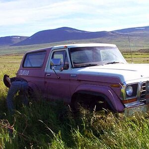 Mynd 'Ö2593' í flokknum '1978 Ford Bronco á Íslandi'