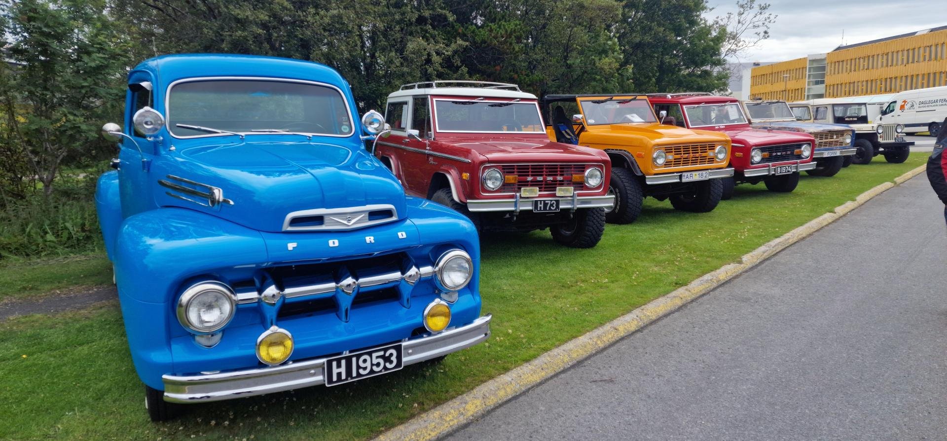 Ford F100