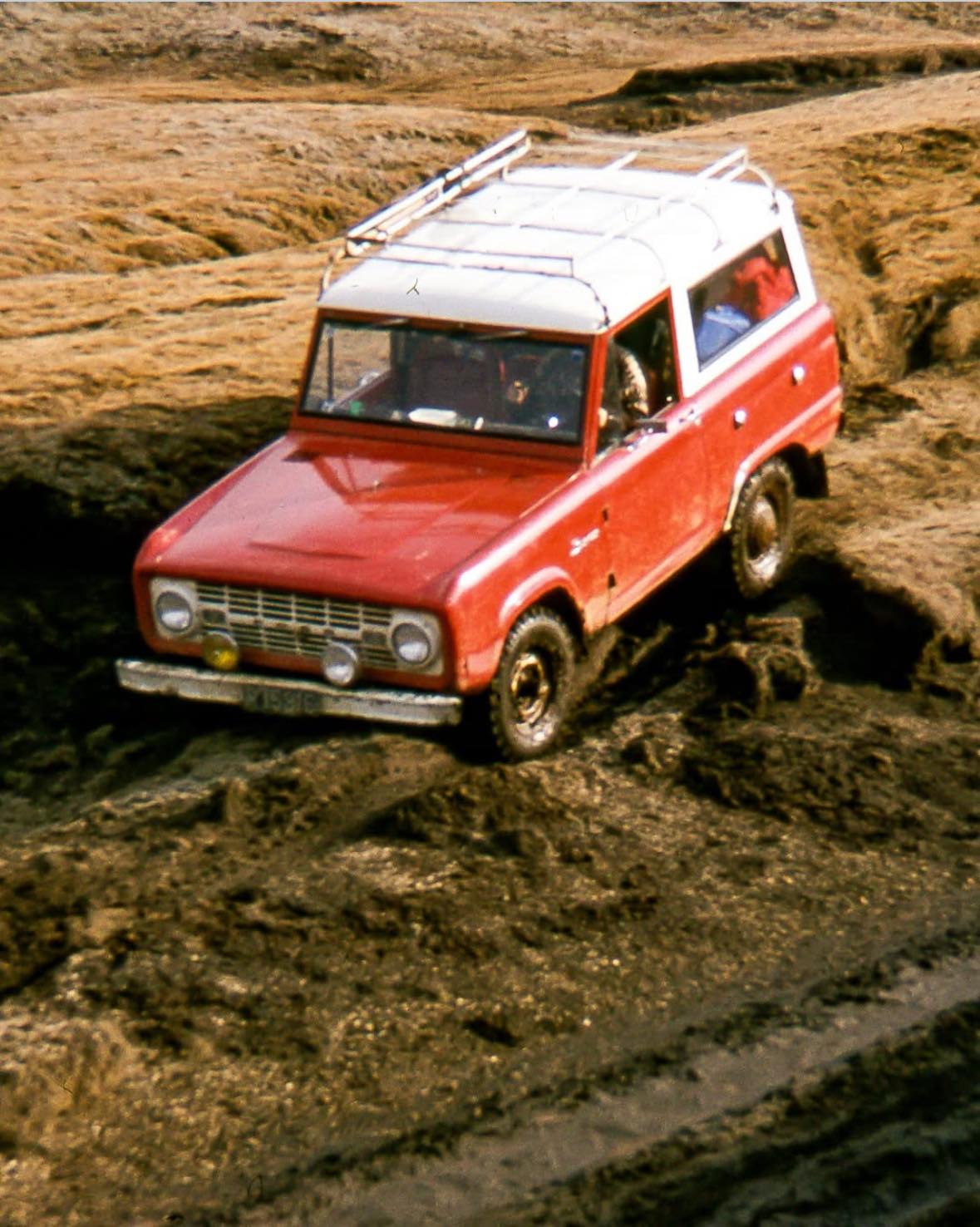 R15916.jpg